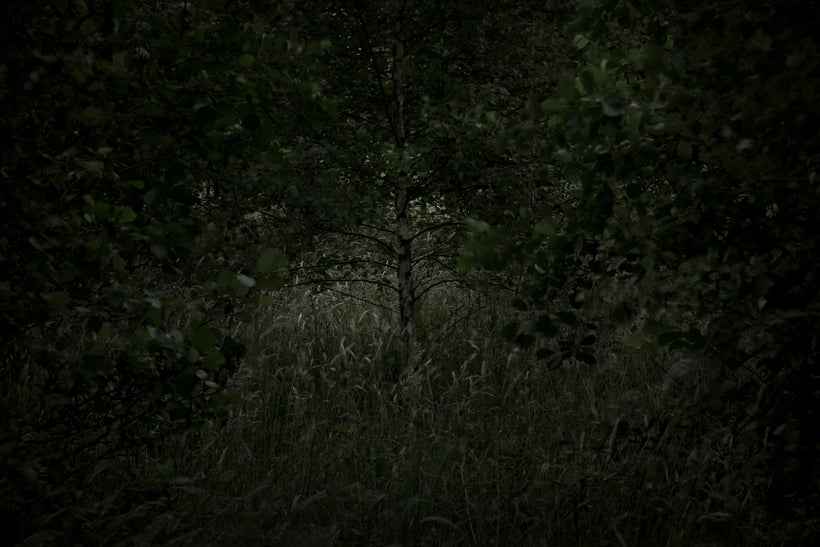 Untitled from the <a rel="nofollow" href="http://mehrdadnaraghi.com/" target="_blank">“The Fairyland”</a> series, 2012.