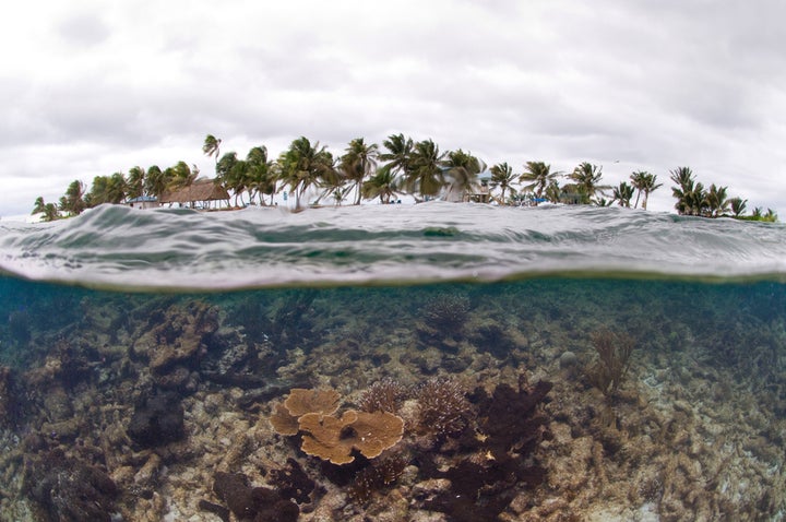 <em>Laughing Bird Caye, Belize.</em>