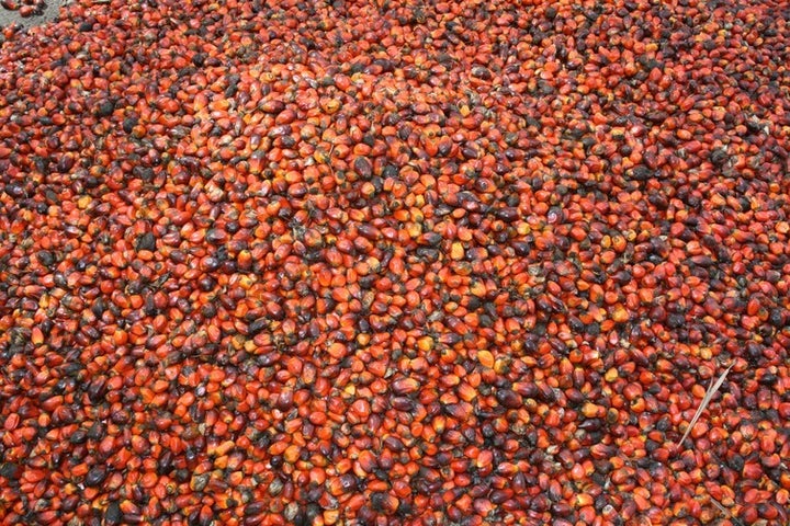 Palm oil from Indonesia and Malaysia is an essential ingredient in Asian countries.