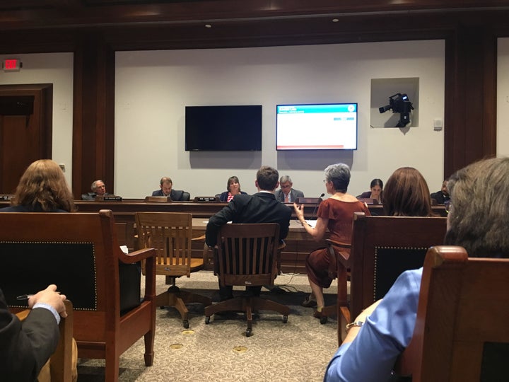 <p>Adam Eichen and Frances Moore Lappé testify in front of the Massachusetts Joint Committee on Election Laws, June 8th, 2017.</p>