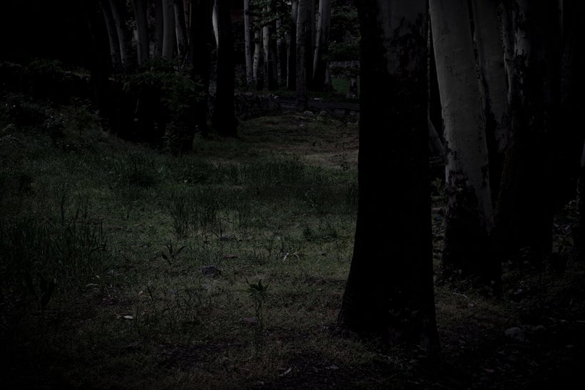 Untitled from the <a rel="nofollow" href="http://mehrdadnaraghi.com/" target="_blank">“The Fairyland”</a> series, 2012.