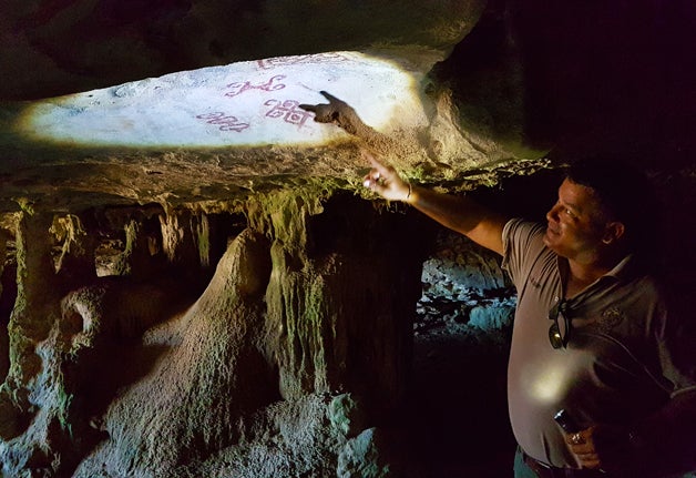<strong><em>Aruba's most original artwork: Mind the bats!</em></strong>