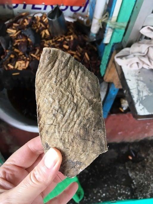 A rectangular piece of elephant skin sold by a vendor near Myanmar's Golden Rock Pagoda.