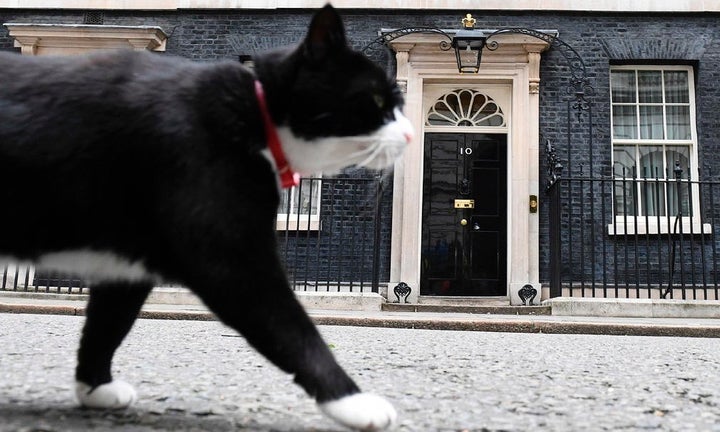 The popular 10 Downing Street cat Palmerston get’s camera time in front of the waiting media Friday morning.