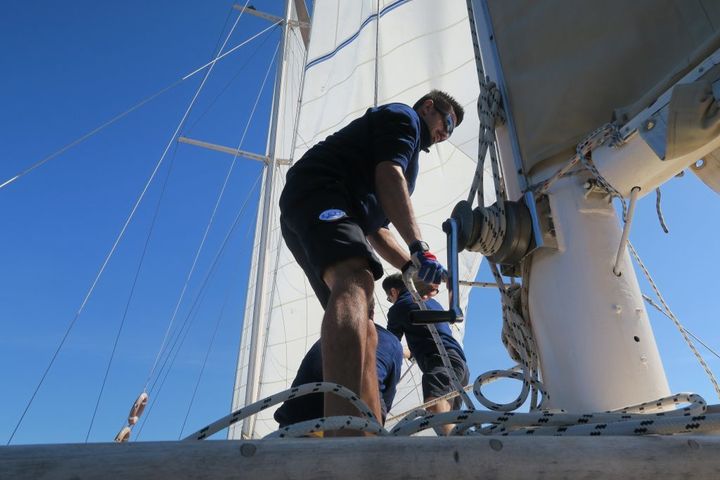 The crew raising the sails