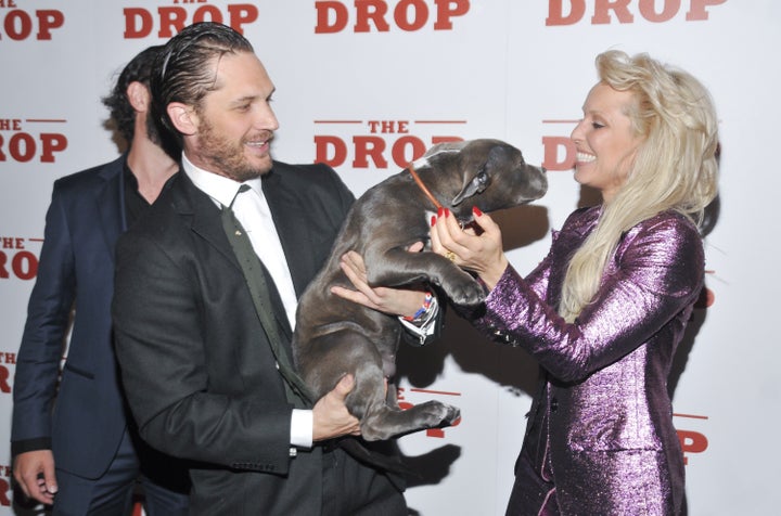 Hardy at "The Drop" movie premiere in New York with his co-star Zora the dog and Noomi Rapace in 2014.