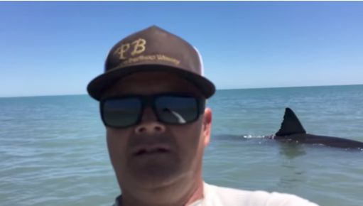 'Holy S***!': Man Films Massive Great White Thrashing In Shallow Water ...