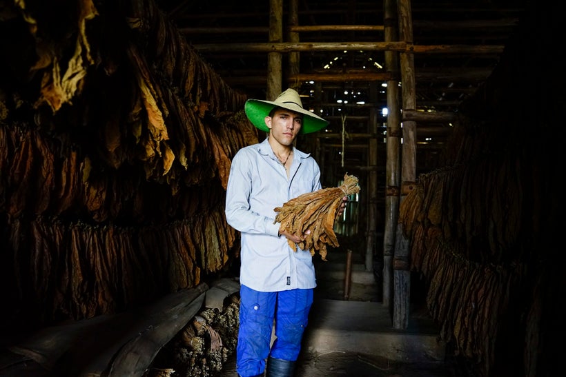 I asked our driver who took us to Viñales to take us to a tobacco plantation that was not touristy, as some of them can be. I