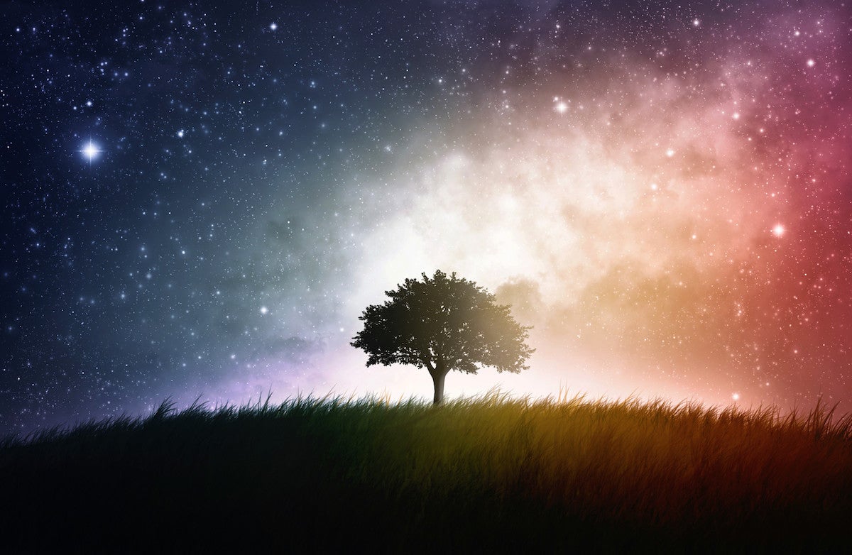 Infinite Potential What Quantum Physics Reveals About How We Should Live