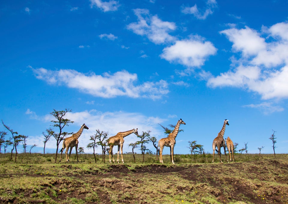 Ngorongoro Conservation Area, Tanzania