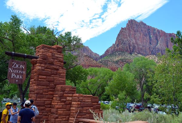National park campsites can fill up months in advance during peak season at popular sites like Zion National Park.
