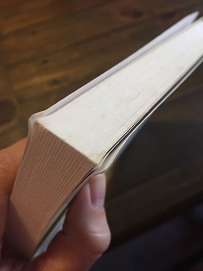 <p>These worn corners and the book’s faded paper look worse than this in real life. </p>