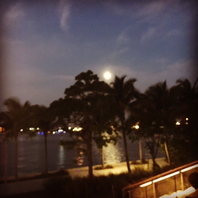Night at PAMM.