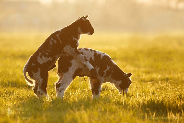 Of course you can always use your brother for a run-up … 