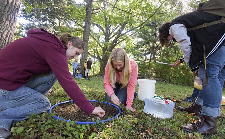 Students using mustard extraction to collect earthworms at Wallace Lake in Berea, Ohio.