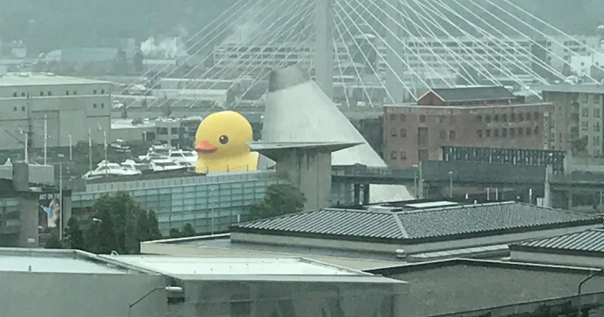 Festival of Sail returns to bigger than ever HuffPost Contributor