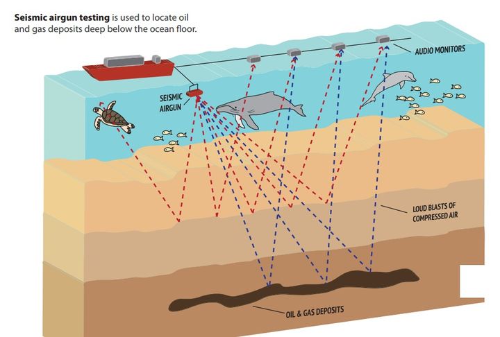 Deadly seismic blasts can be heard on the other side of ocean basins.