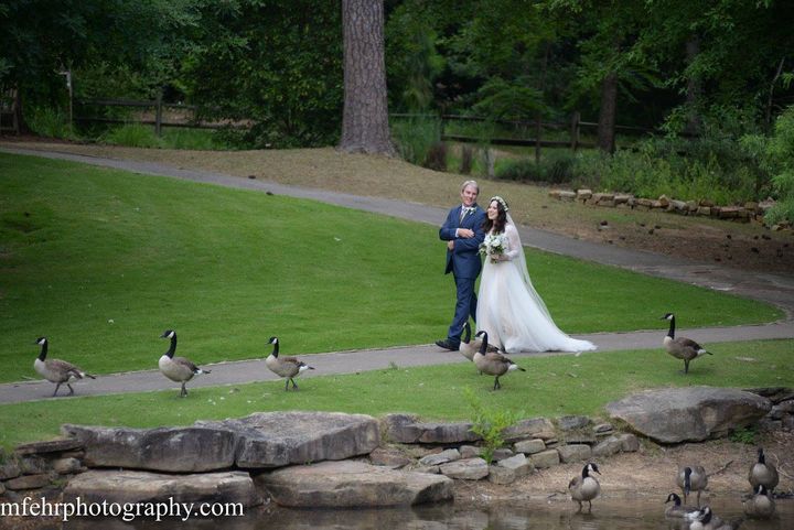 The wedding party at beautiful Aldridge Gardens.