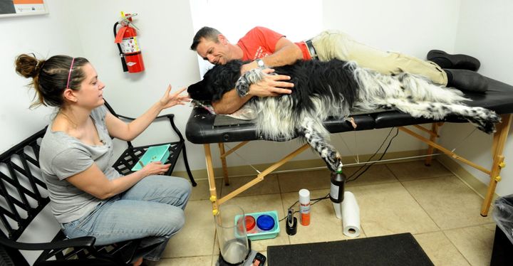 A dog giving blood at a blood bank in Maryland. 