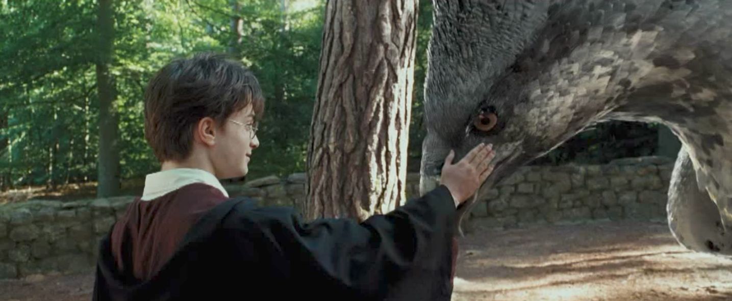 Buckbeak Slyly Pooped Onscreen In 'Harry Potter' And You Didn't Even ...