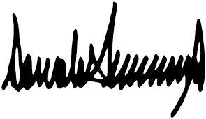 <strong><em>Off the Richter scale — the unmistakable “John Hancock” of #45</em></strong>