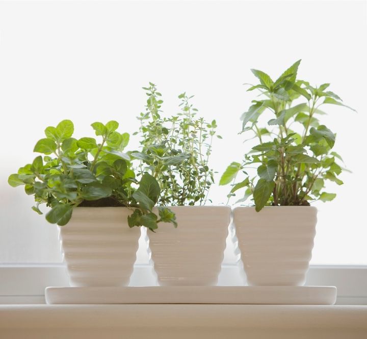 Mix and match garden pots as an alternative gift for Dad. 