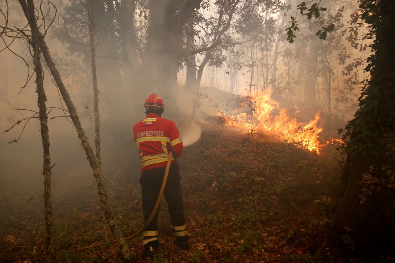 A firefighter tries to extinguish fire during a forest fire near the village of Torgal.