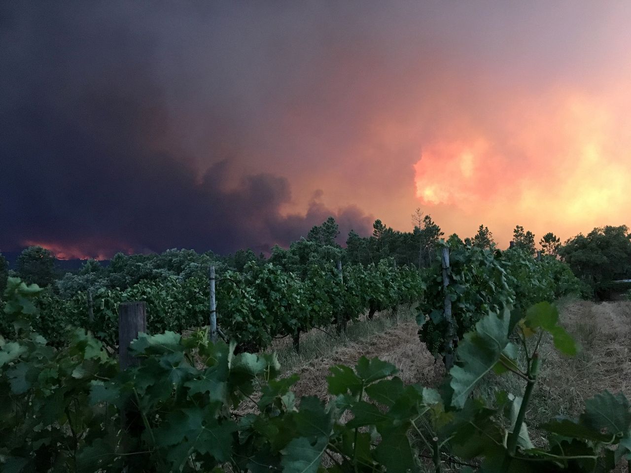 Smoke rises from a forest fire, seen from the village of Mourisco.