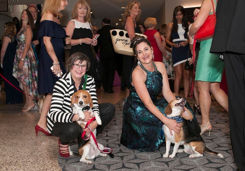 Partygoers pose with two bow-tie wearing beagles.