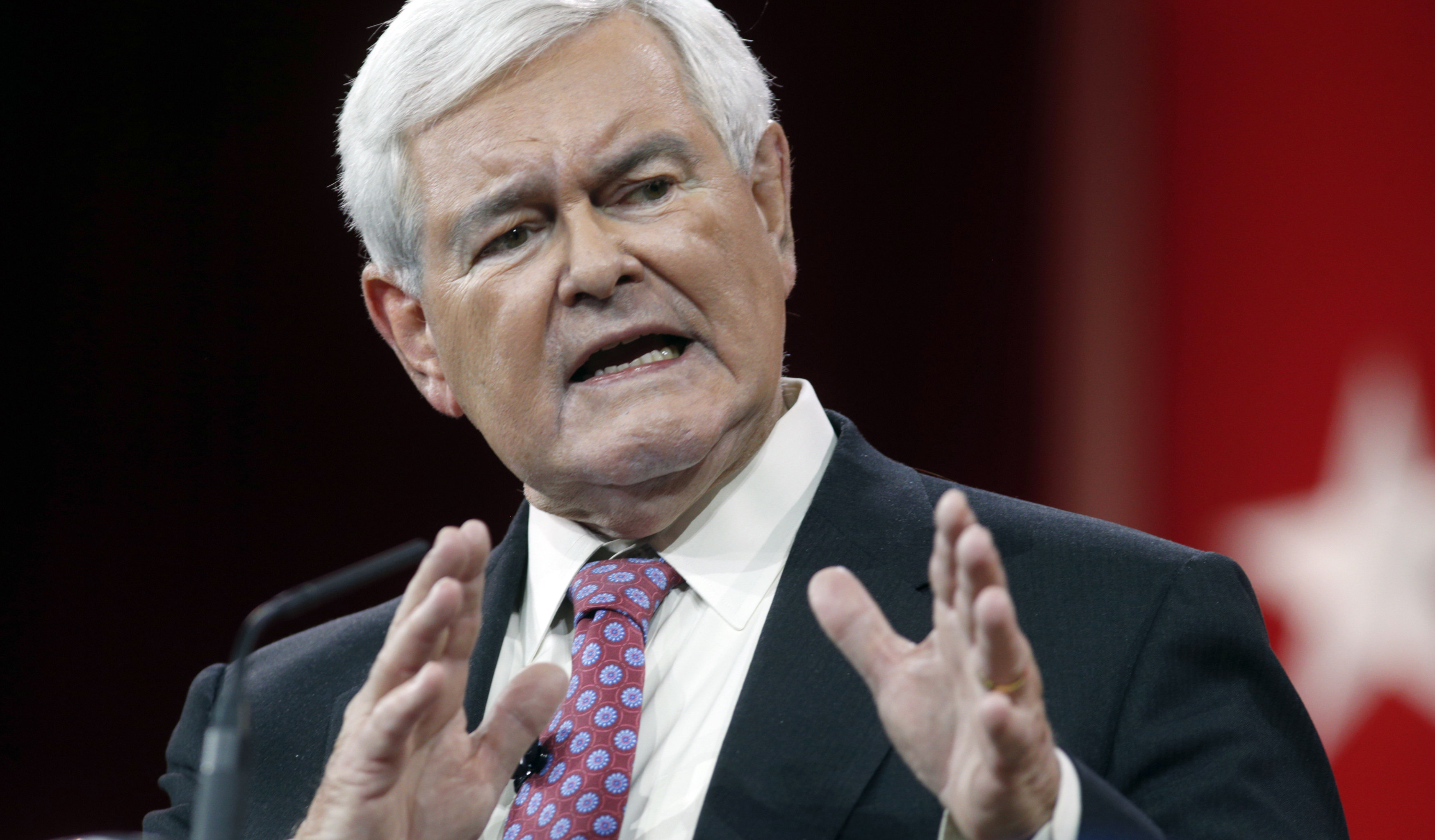 Newt Gingrich Says 'Pugnacious' Donald Trump Has 'Compulsion' To ...