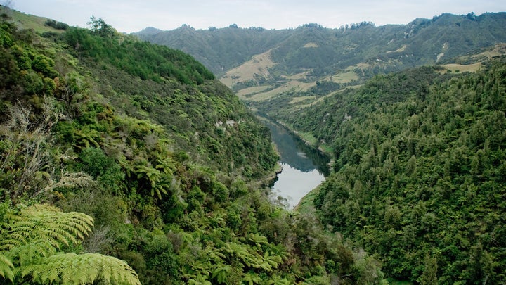 The Whanganui River, seen here, is now a person under New Zealand law.