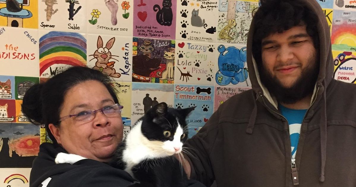 Cat Reunites With Owner 12 Years After It Goes Missing 