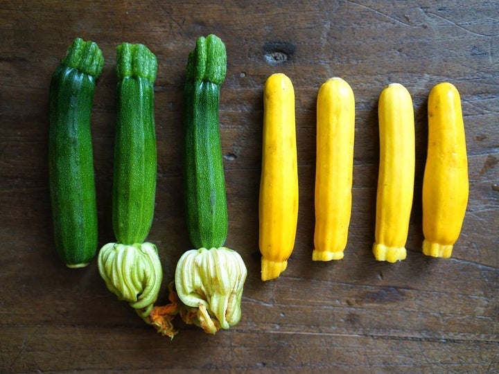 Mini zucchini and yellow squash