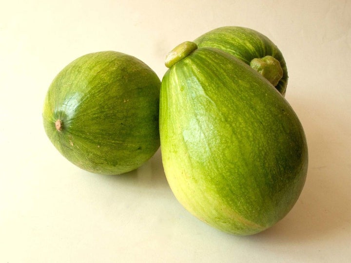 <p>Avocado Squash</p>