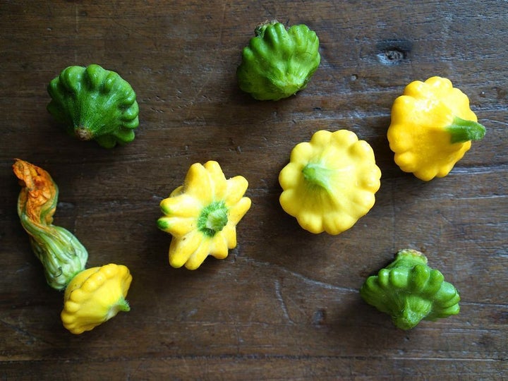 <p>Pattypan</p>