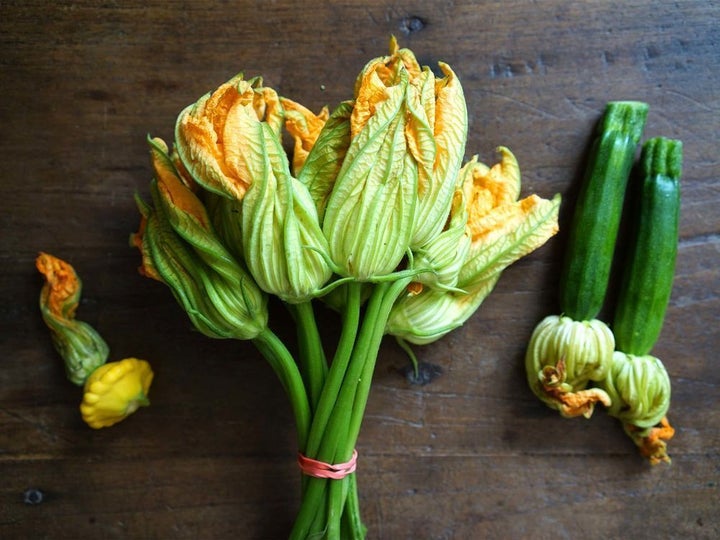<p>Squash Blossoms</p>