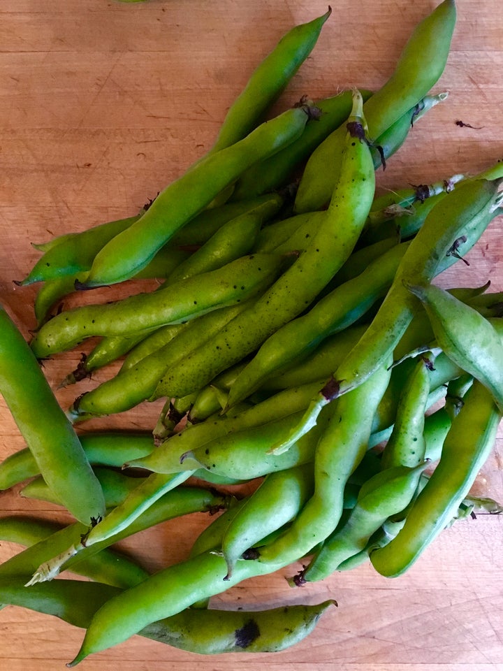 Fava beans - broad beans in the UK - from our local farmers’ market