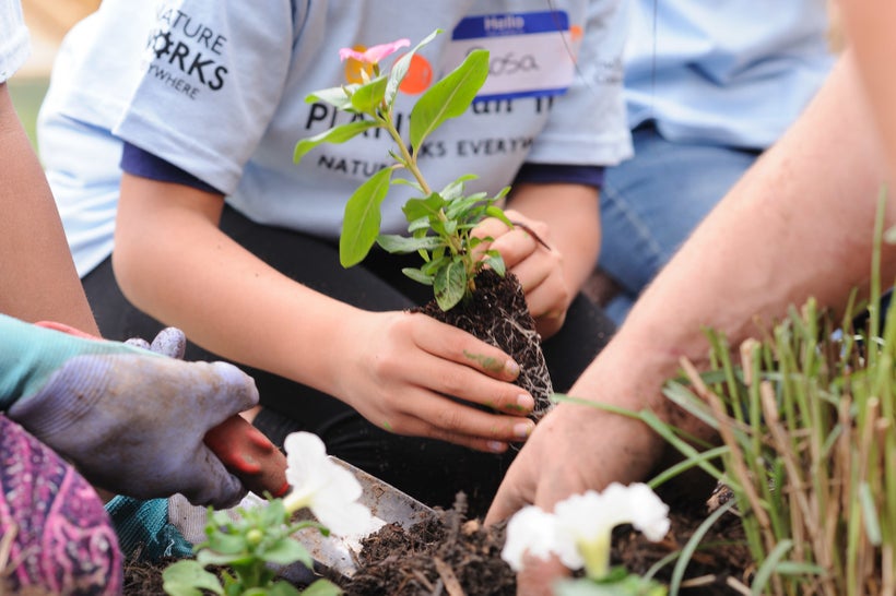 The DC Bilingual School garden features pollinator habitat, edible plants and other educational assets.