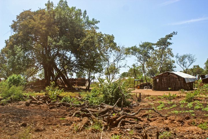 A refugee home in Bidi Bidi.