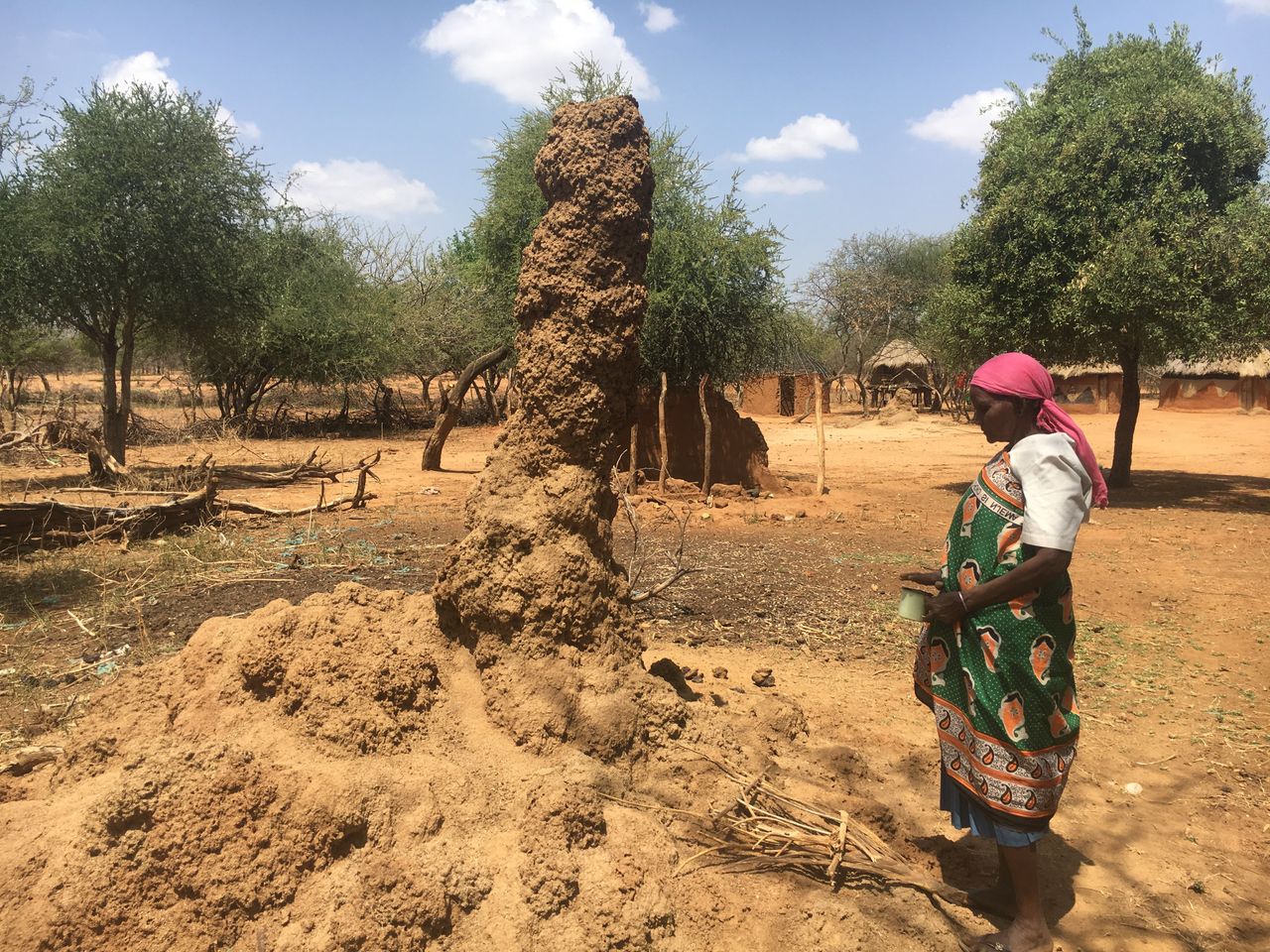 Selina Chepserum nearly lost her sight to trachoma several years ago. Here, she stands in front of a termite mound, ready to harvest insects for food.