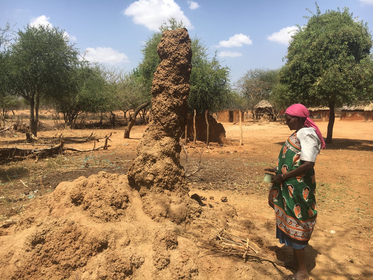 Selina Chepserum nearly lost her sight to trachoma several years ago. Here, she stands in front of a termite mound, ready to harvest insects for food.<em><br></em>