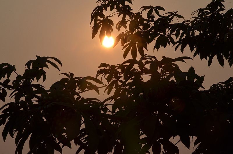 Zhr Anjum, 2015. Good Morning God & thank you to give warm and bright sun to start my good day