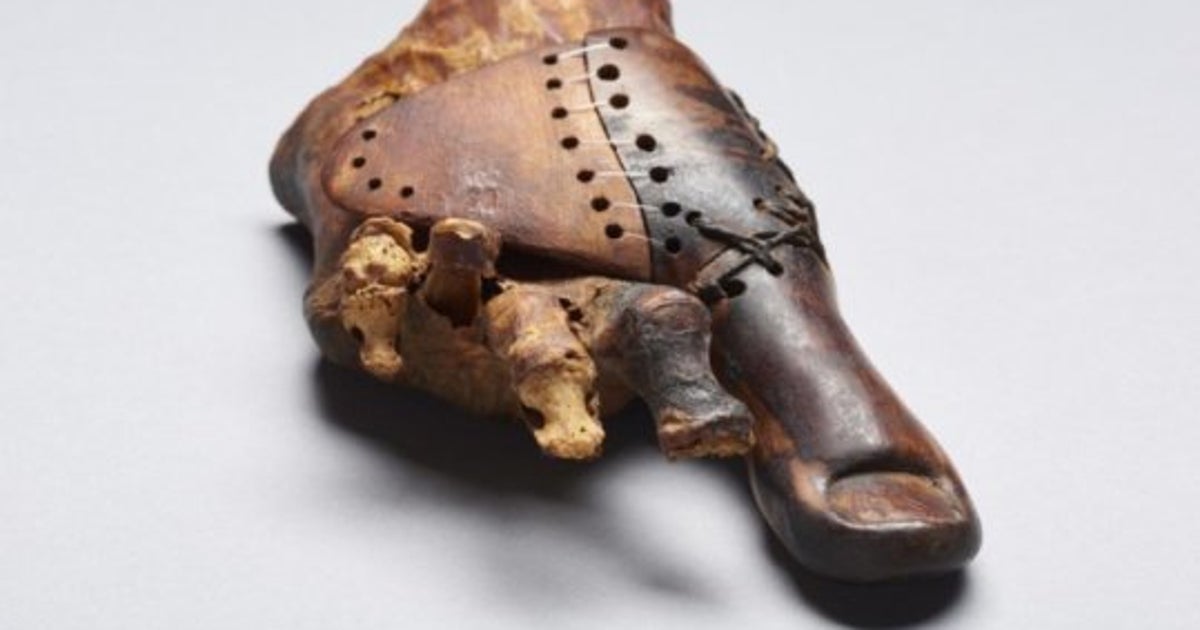 Scientists Are Studying A 3,000-Year-Old Prosthetic Wooden Toe ...