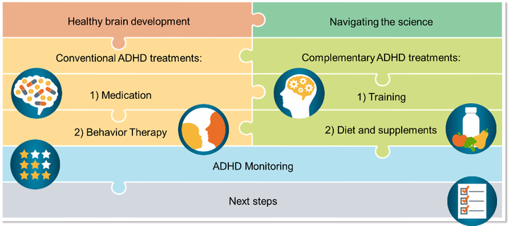 <p>Framework from the online course How to Navigate Conventional and Complementary ADHD Treatments for Healthy Brain Development</p>