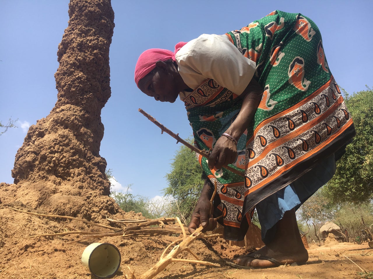 Chepserum prepares to catch termites from a towering termite mound near her home.