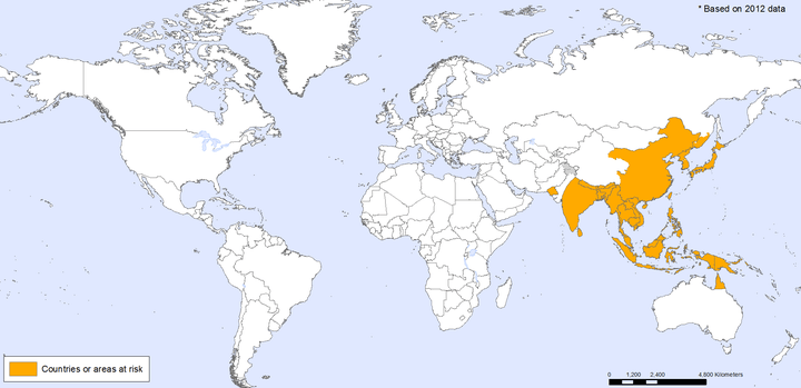 <p>The geographic distribution of Japanese encephalitis (in yellow)</p>