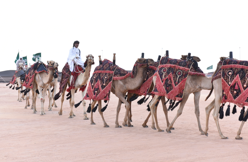 Ad-Dhna’ Convoy where professional camel handlers were on hand to aid with riding and care tips, teaching movement practice
