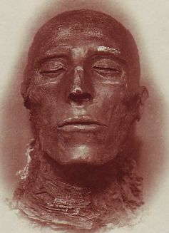 Head of pharaoh Seti I’s mummy, Cairo Museum.