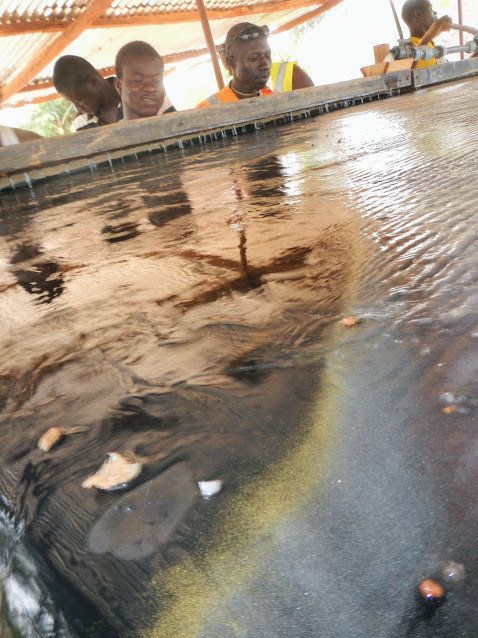 Shaking table introduced by AGC in Burkina Faso to recover gold without the use of mercury. 