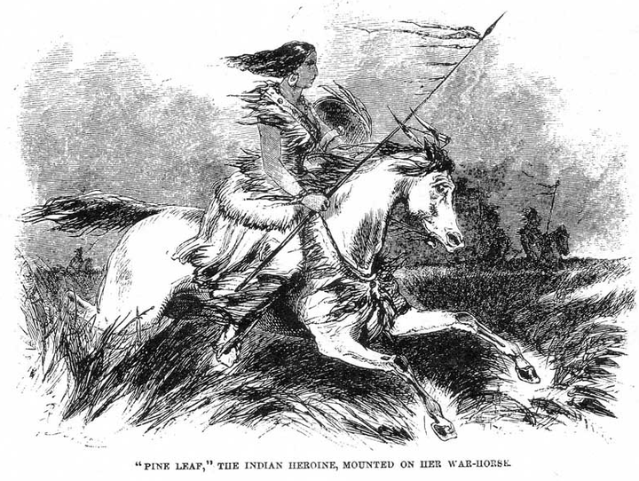 Bar-chee-am-pe, translated as Pine Leaf, became the woman Chief of the Crow People and was known for being fierce in battle. The sketch of her charging the enemy Blackfoot tribe is after an eyewitness description by the American Great Plains tribes chronicler James Beckwourth. 